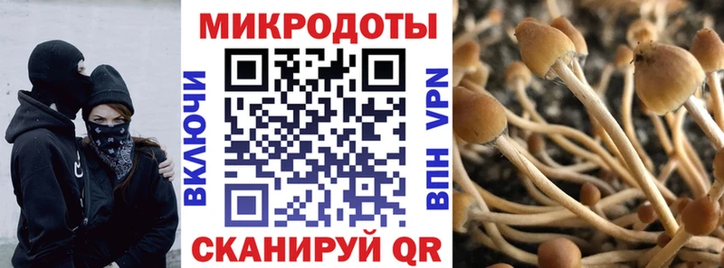 как найти наркотики MEGA зеркало Галлюциногенные грибы мицелий Чкаловск